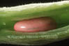 01782